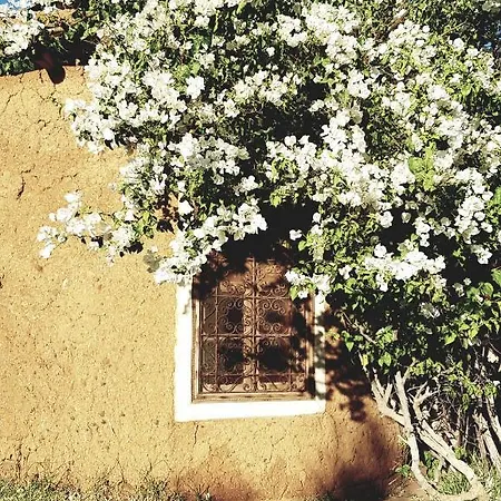 Les Jardins De Taja Hotel Ourika Exterior photo