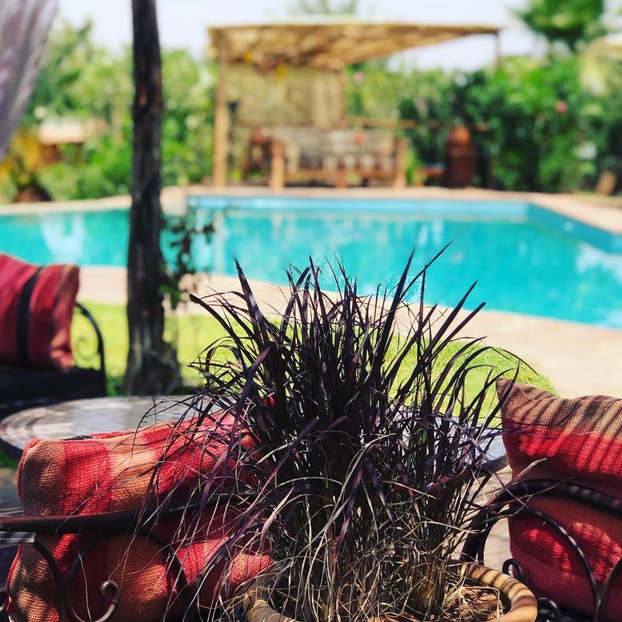 Les Jardins De Taja Maison d'hôtes