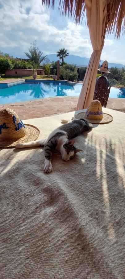 Les Jardins De Taja Guest house